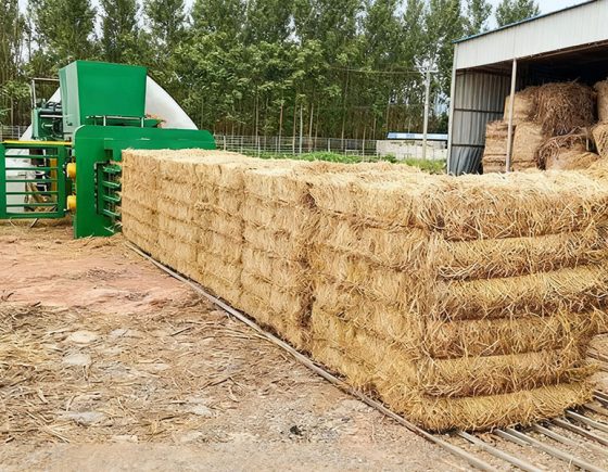 Horizontal Baling Press for Packaging Biomass