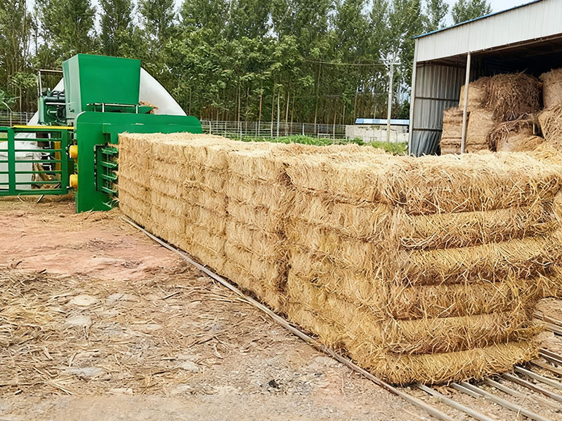 Horizontal Baling Press for Packaging Biomass